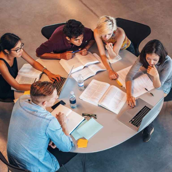Equipe estudando a nova lei de licitações